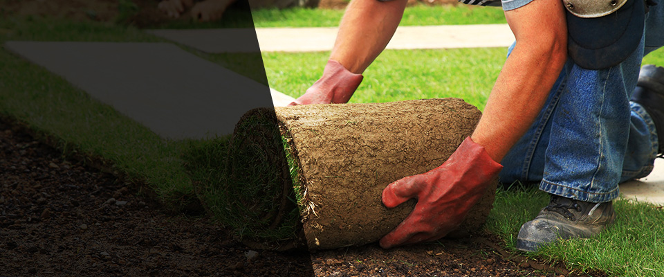 Robstown Landscapers